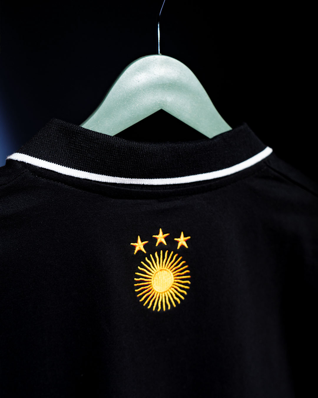 La Albiceleste 10