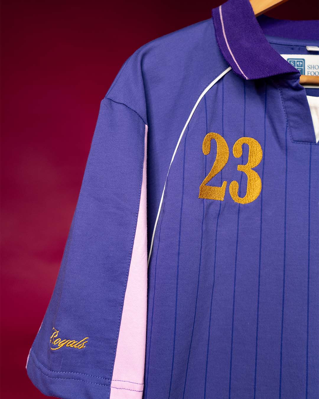 Rajasthan Cricket Vintage